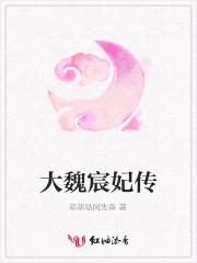 大魏宸妃传男主