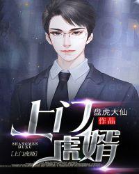 上门虎婿全集