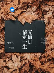 沈蔓歌叶南弦全文免费阅读七