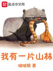 我有一片山林破