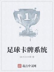 足球卡牌系统TXT百度