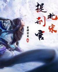 北宋提刑官抓强盗