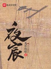 夜宸轩身世