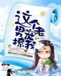 这个男宠我要了晋江