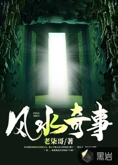 风水奇事大结局