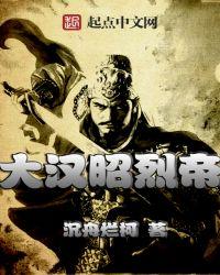 大汉昭烈帝 最新章节 无弹窗