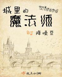 城里的魔法师评价