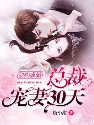 总裁宠妻30天电视剧