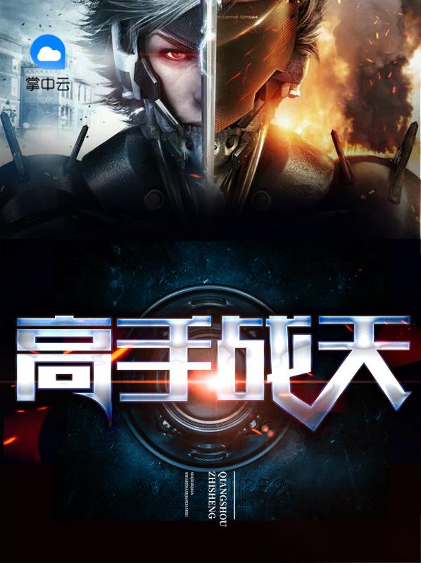 高手至尊叶昊免费