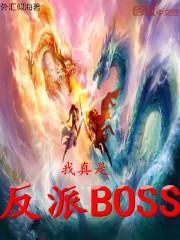 我真是反派啊境界划分