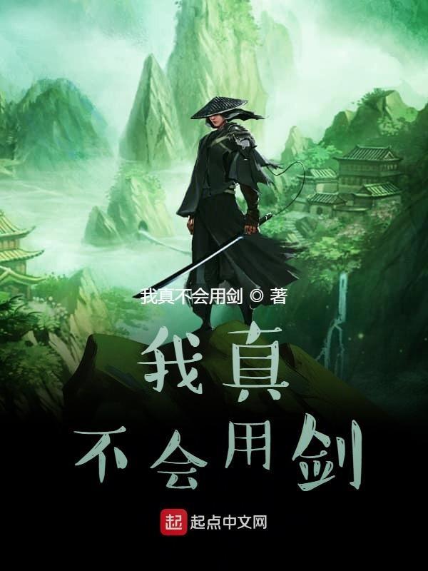 我真不会用剑简介