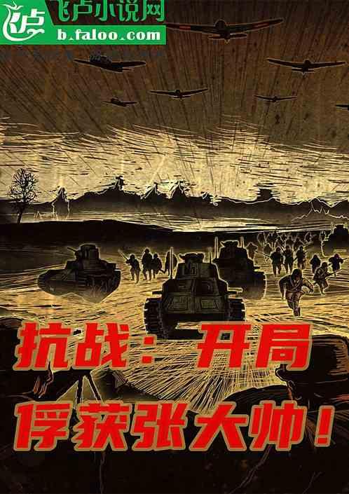 抗战开局少帅