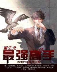 重生最强高手乱武完杀