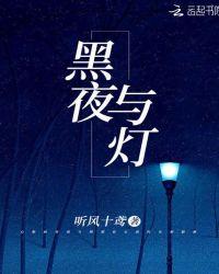 黑夜与灯光连成一片是什么歌