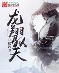 龙翔驭天 字数