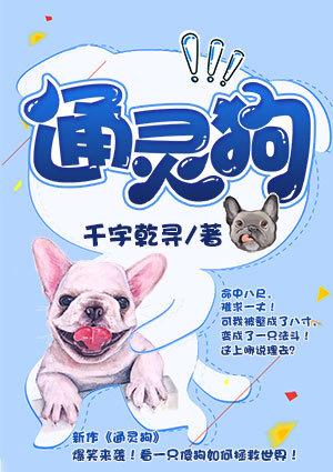盾狗无限通灵