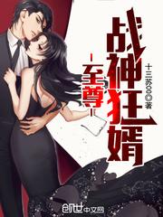 免费读书青枫书籍秦飞全集