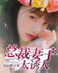 总裁妻子太诱人全文加番外