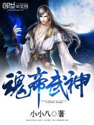 魂帝武神夜麟