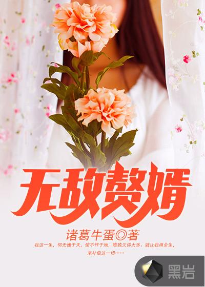 无敌赘婿TXT百度