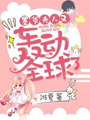 夫人又轰动全球了正版