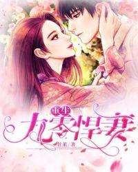 重生九零悍妻宠上天全文免费阅读