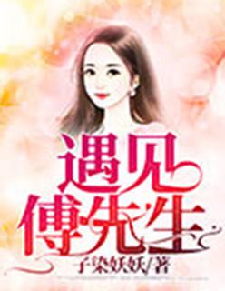 遇见傅先生TXT全文