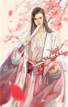 腹黑王爷宠妃女主姓洛