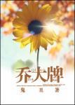 乔大牌百度txt云资源