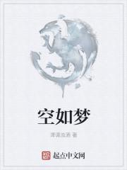 如梦如空免费阅读