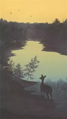 病娇先生宠上天什么软件可以看