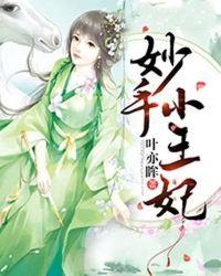 妙手小王妃苏云婧