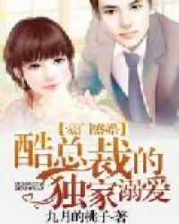 豪门盛婚酷总裁的独家溺爱 第284章