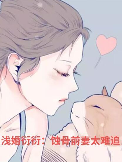 陆言深苏清颜免费阅读
