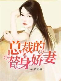 总裁的替身前妻听书