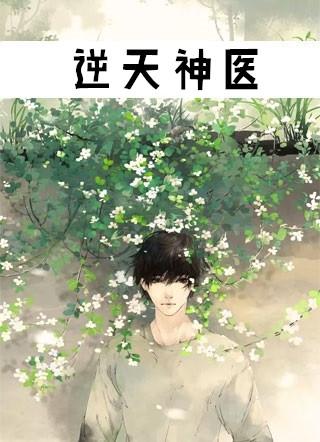 逆天神医九小姐