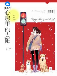 心房里的太阳txt