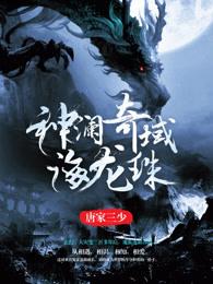 神澜奇域海龙珠第二季