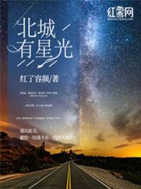 北城有星光经典语录