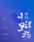 梦回十里洋场圆房