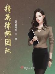 精英律师团队介绍