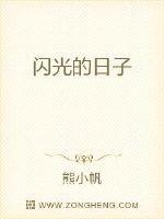闪光的日子歌词