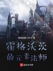 霍格沃茨的元素法师百度免费阅读