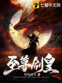 至尊剑皇笔趣阁顶点