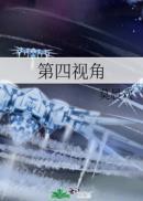 第四视角是双男主吗
