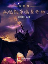 海贼之从凯多开始掠夺