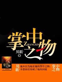 掌中之物傅慎行何妍多少万字