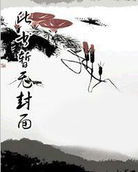 傻婿秦峰