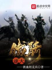 逆天铁骑免费全本TXT