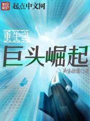 重生之2007巨头崛起